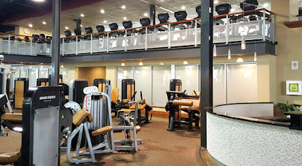 Vive Fitness