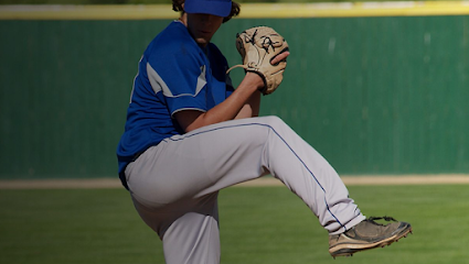 Pro Pitching Institute