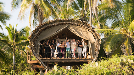 PineappleYogi | Yoga & Wellness Classes, Programs