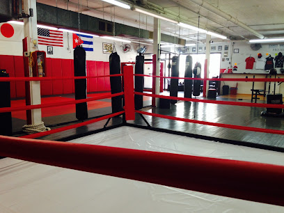 High Impact Martial Arts