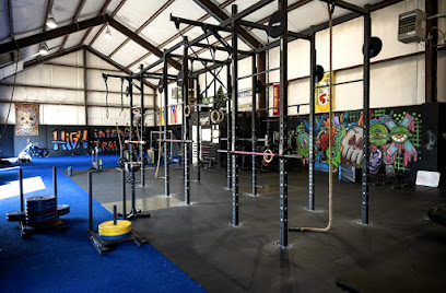 The Pack - Sports/Strength/Conditioning