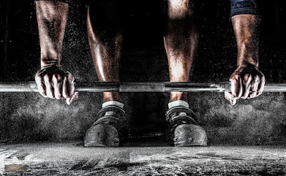 Body of Gains - Fitness & Wellness Training