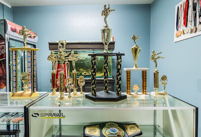 Arlington MMA - Mixed Martial Arts & Muay Thai Boxing Gym