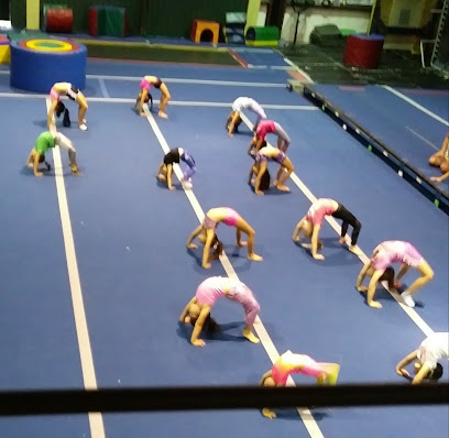 Corpus Christi Allstar Gym