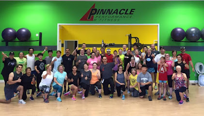 Pinnacle Performance & Fitness