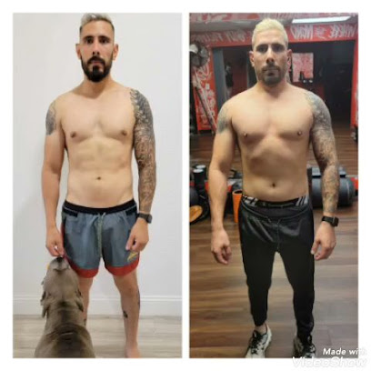 Absolute Iron Personal Training and Body Transformation