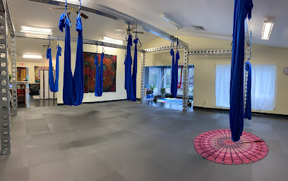 Aloft Aerial Fitness