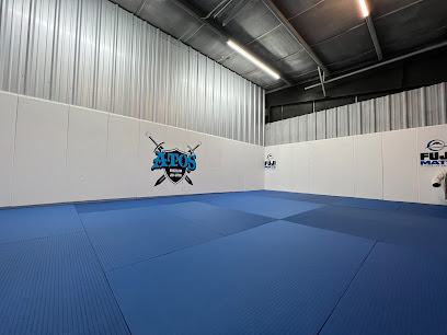 League City Jiu-Jitsu Hors Normes