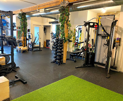 TO Kinesiology - Fitness Studio