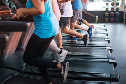 Free Outdoor Workout Ahuntsic Park