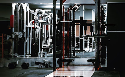 Bionic Fitness