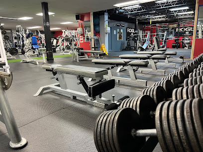 Aire d'entraînement pour adultes