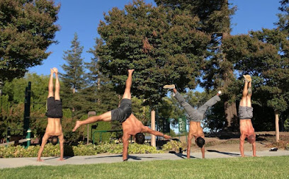 San Francisco Movement Group