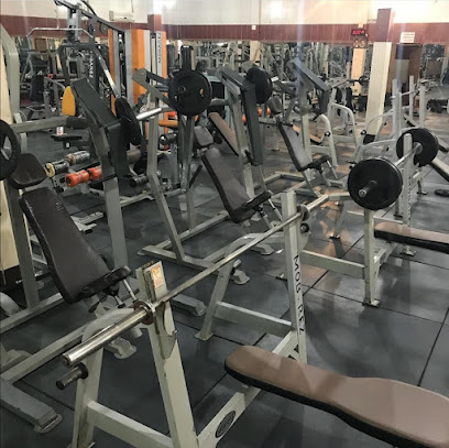 Zolfaghar Gym