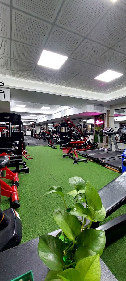 Olympia GYM