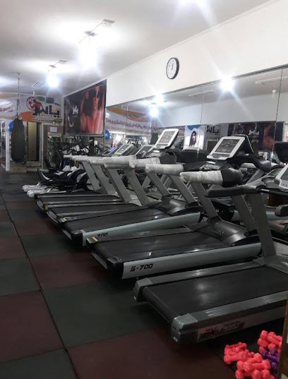 Ruyin Tan Fitness & Bodybuilding club