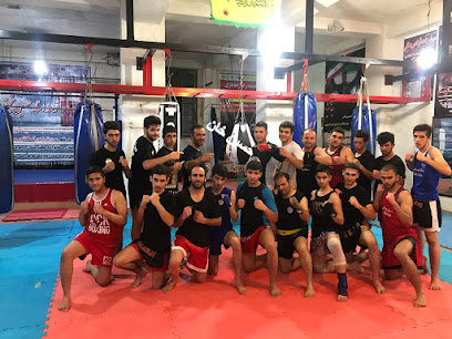 Hossein Najafi Kickbox