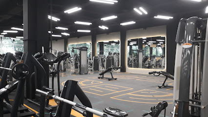 Dynamic Gym