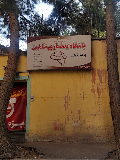 Shahin Gym