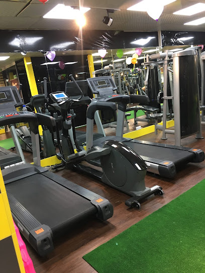 adonis Gym