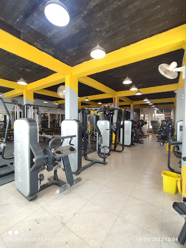 GYM LIONS DEN
