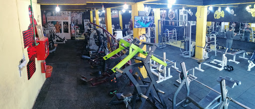 Monster Gym