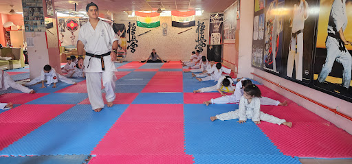 Kyokushin Sarwary