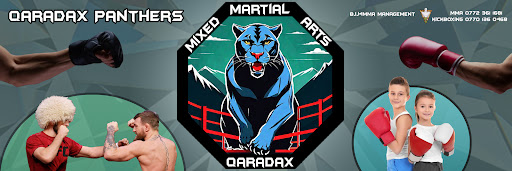 Qaradax Panthers MMA Mixed Martial Arts- gym