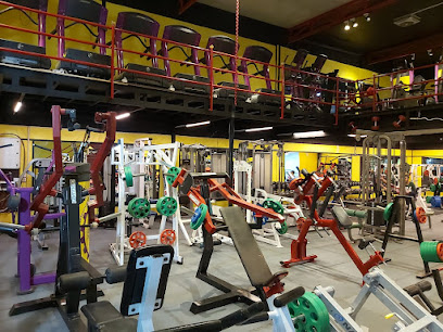 X-Large Gym