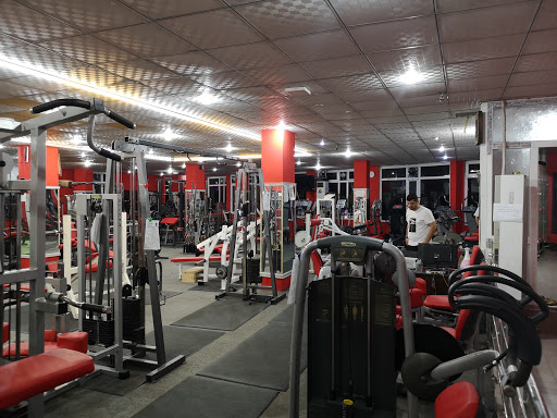 Jin GYM