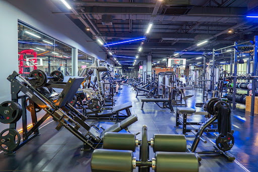 LIFEFIT ERBIL