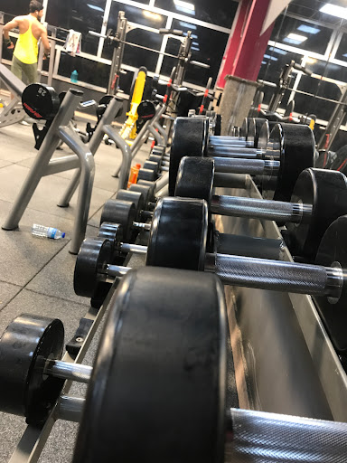 human ogre gym