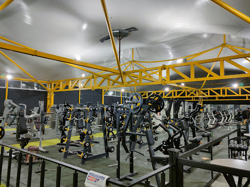 Power Nation GYM