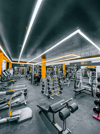 Monster gym