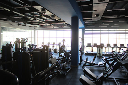 Velocity Gym