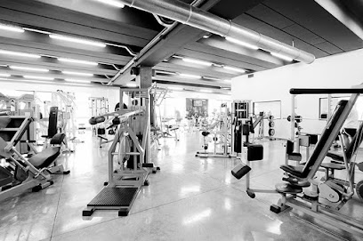 Fitness Faktory S.S.D. a R.L.