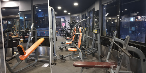 Bayed Gym
