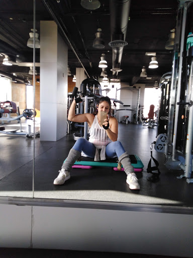 Vega fit