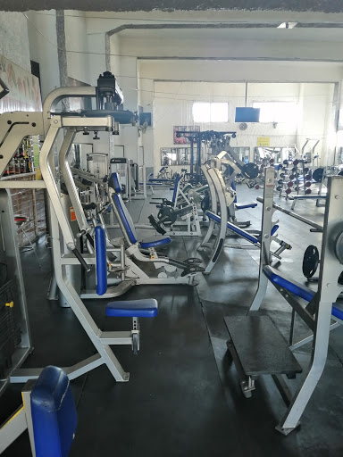 Max power gym