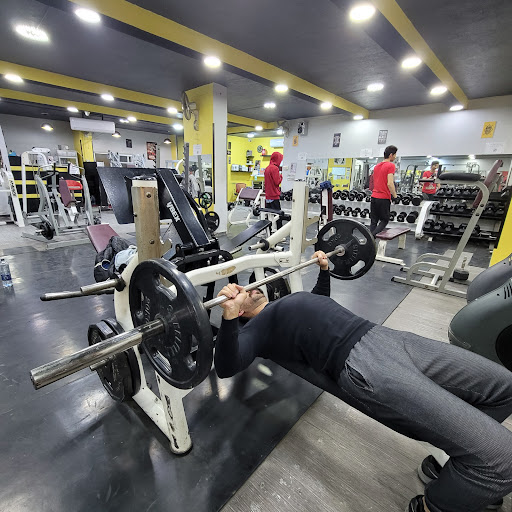 91 GYM