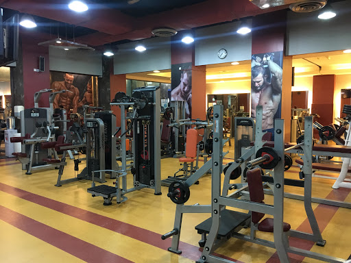 Platinum Health Club
