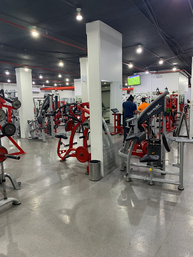 My platinum gym