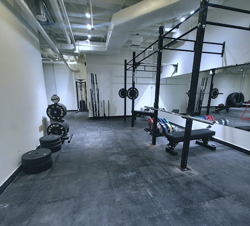 Meduza Gym