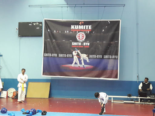 Q8 Karate Classes