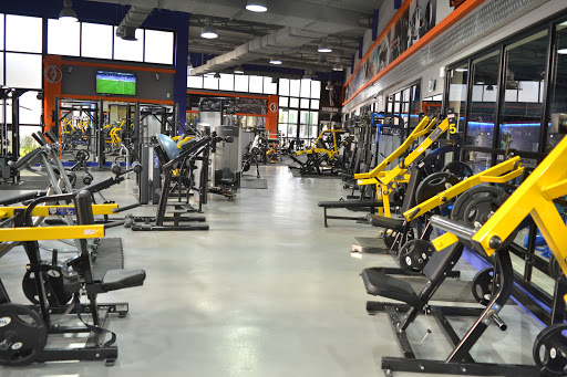 MPD GYM