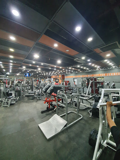 active gym