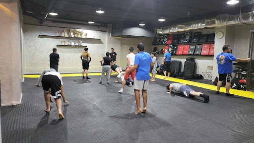 Vikings MMA