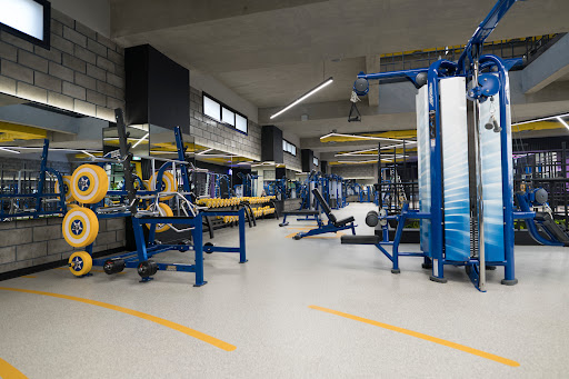 Diva Gym