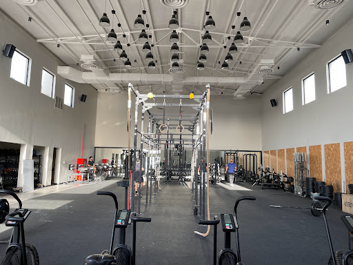 Neon fitness Bayan