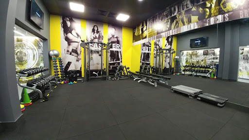 MMA International Academy - Focus Studio